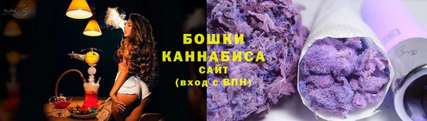 индика Ачинск