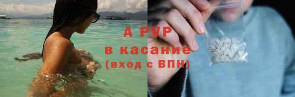 индика Ачинск