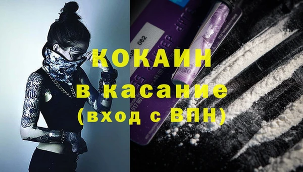 шишки Лагань