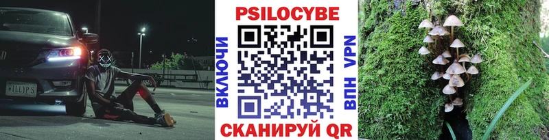 купить  цена  Спасск  Галлюциногенные грибы MAGIC MUSHROOMS 